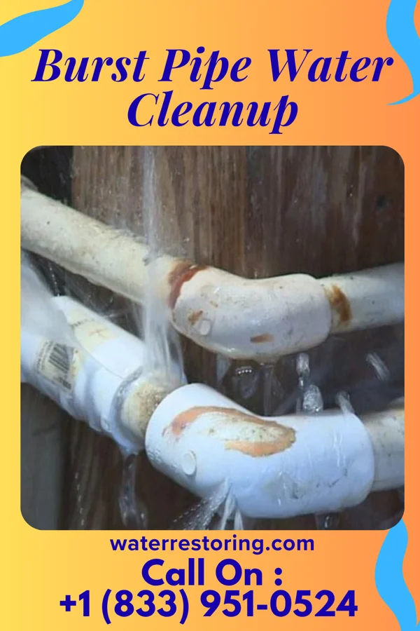 Burst Pipe Water Cleanup in Hamilton, GA