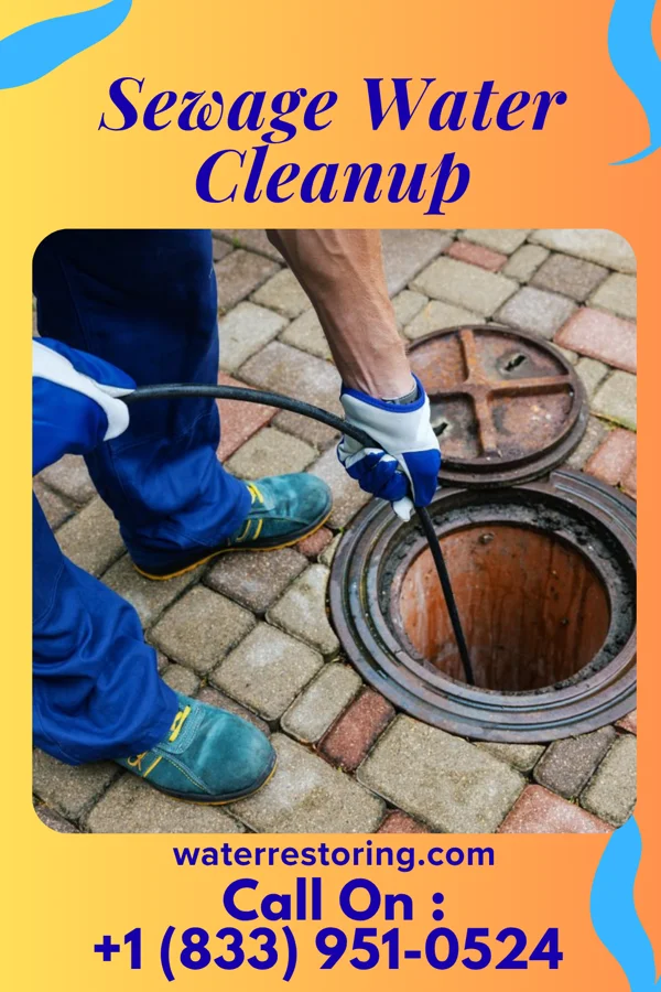 Sewage Water Cleanup in Hamilton, GA